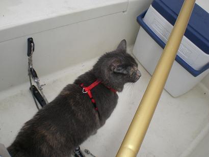 091410-cockpit-inspection