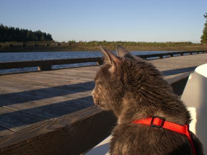 092910-momma-penrose-dock