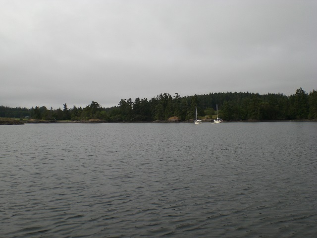 blind bay 2009