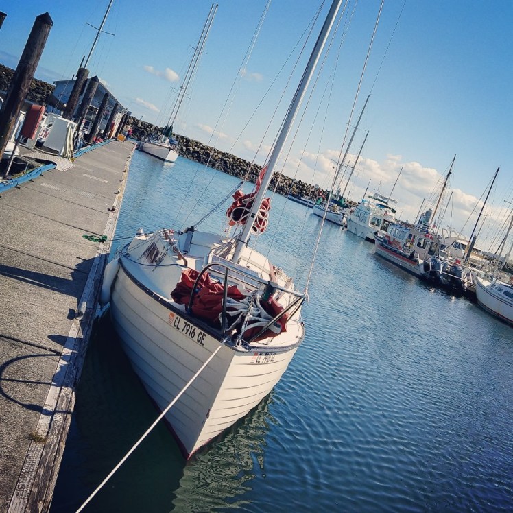 IMG_20180501_170656_843-956x956