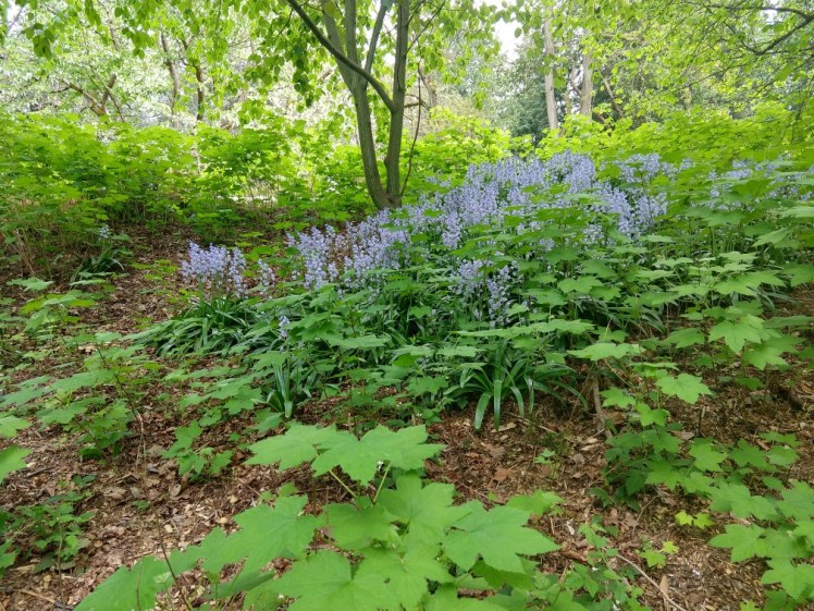 IMG_20180506_150052334_HDR-1008x756