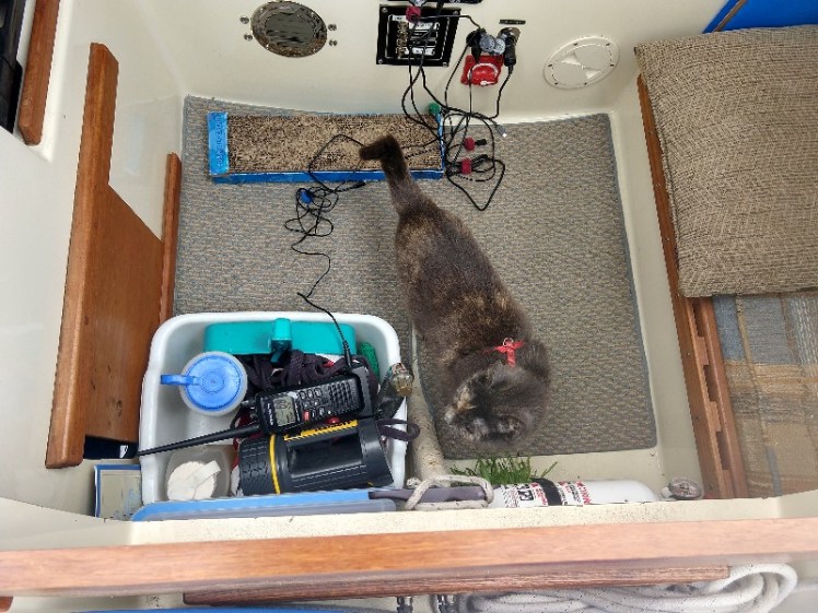 IMG_20180516_125122575_HDR-800x600