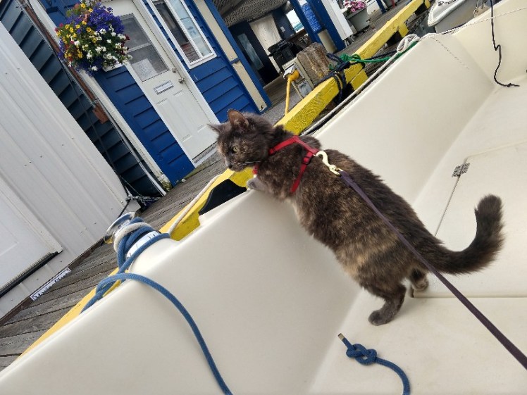 IMG_20180518_193226555_HDR-800x600