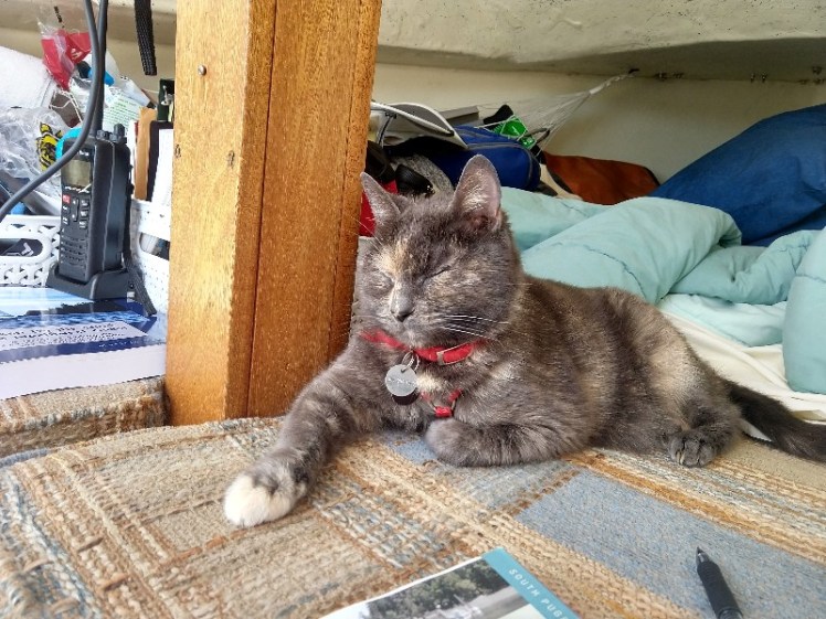 IMG_20180526_113821663_HDR-800x600