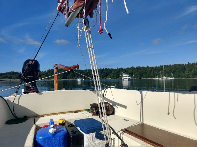 IMG_20180527_084914666_HDR-800x600